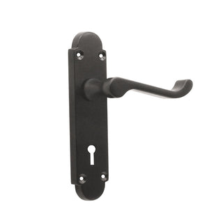 Kensington Scroll Door Handle image 4