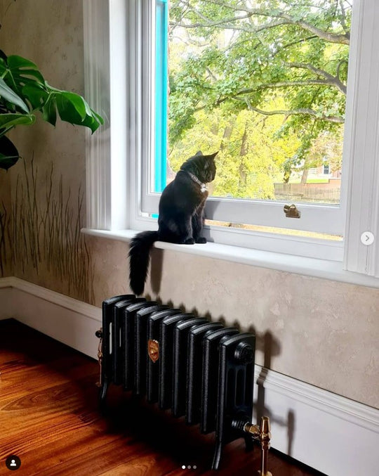 Sovereign 4 Column Cast Iron Radiators 360mm image 1