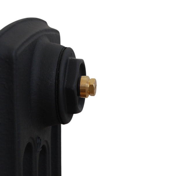 Standard Bleed Valve - Brass image 0