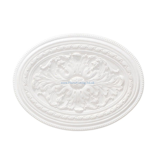 Acanthus and Bead Oval Plaster Ceiling Rose 600mm by 446mm