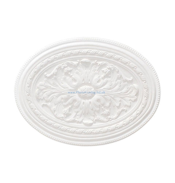 Acanthus and Bead Oval Plaster Ceiling Rose 600mm by 446mm