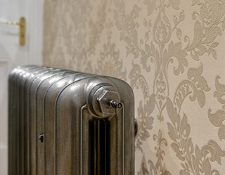 Princess Cast Iron Radiators 810mm image 2