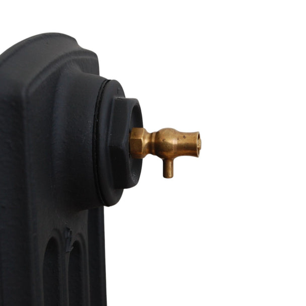 Luxury Bleed Valve - Brushed Brass image 0