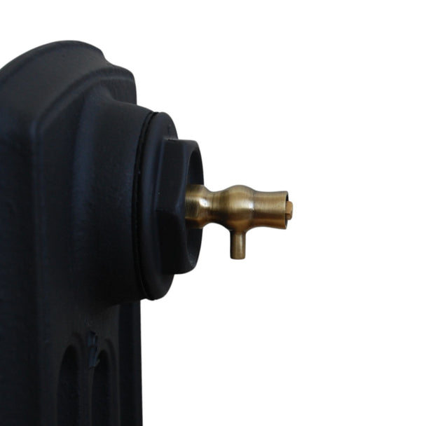 Luxury Bleed Valve - Antique Brass image 0